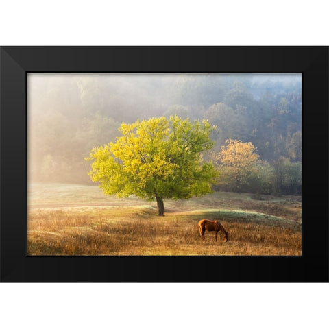Tree Of Life Black Modern Wood Framed Art Print by Prioteasa, Sebastian