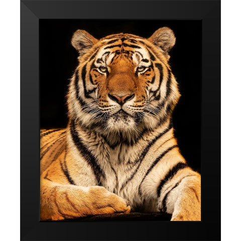 I C U Black Modern Wood Framed Art Print by Zimmermann, Jorg