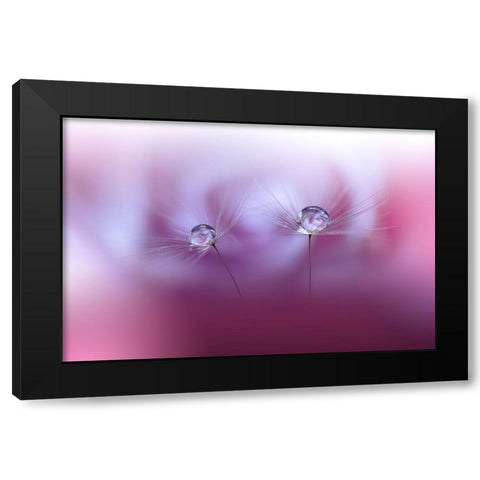 Two Worlds...II Black Modern Wood Framed Art Print by Nan, Juliana