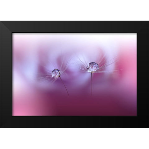 Two Worlds...II Black Modern Wood Framed Art Print by Nan, Juliana