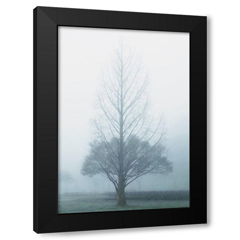 Two Trees Black Modern Wood Framed Art Print with Double Matting by Allen, Elizabeth