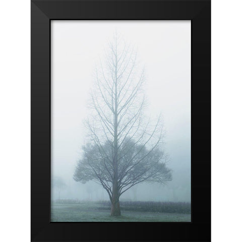 Two Trees Black Modern Wood Framed Art Print by Allen, Elizabeth