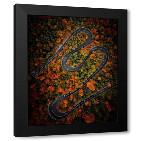 Curves Black Modern Wood Framed Art Print by Razvan