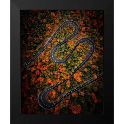 Curves Black Modern Wood Framed Art Print by Razvan