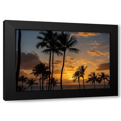 Tranquility Black Modern Wood Framed Art Print by D., Shawn