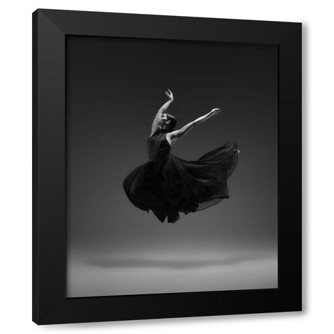 Flying Black Modern Wood Framed Art Print with Double Matting by Li, Rob