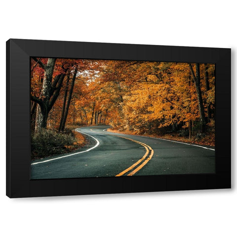 Road To Fall Black Modern Wood Framed Art Print by Rong, Herbert