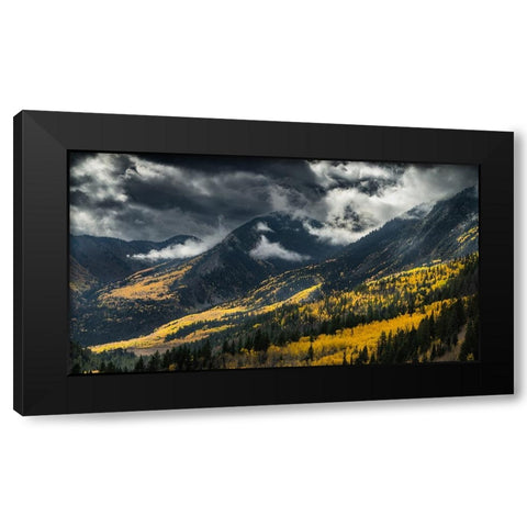 Untitled Black Modern Wood Framed Art Print by Ali Amir, Abbas