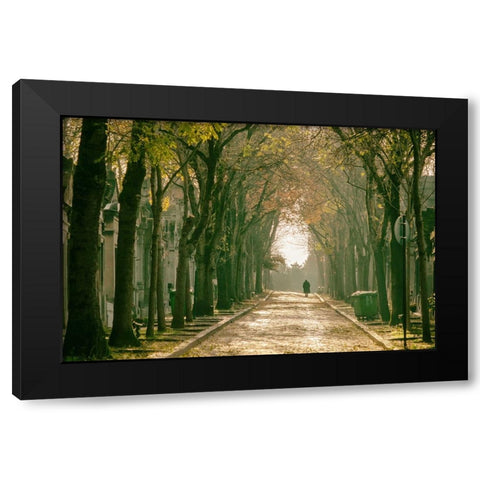 Untitled Black Modern Wood Framed Art Print by Tiryakioglu, Mustafa