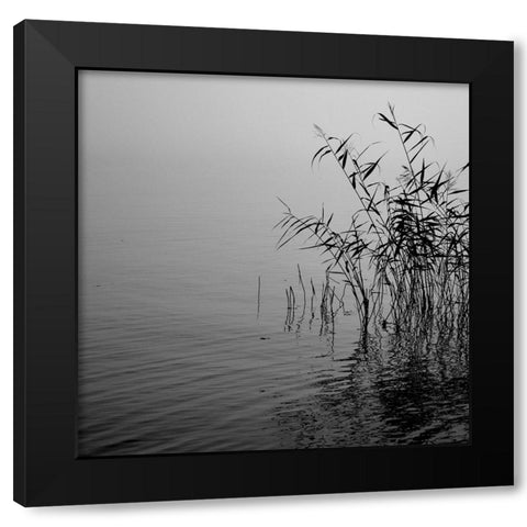 Mist over the lake 2021 Black Modern Wood Framed Art Print with Double Matting by Riis, Poul-Erik