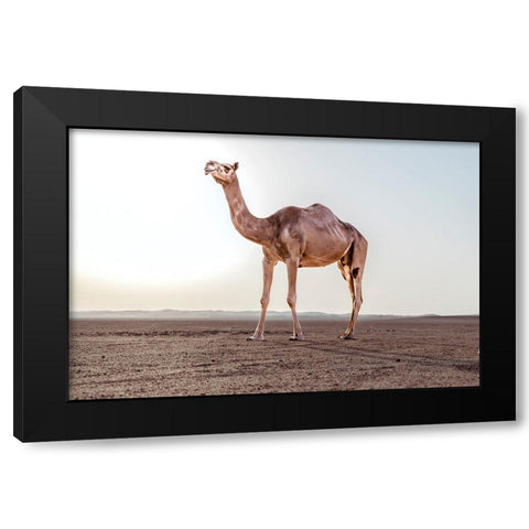 Untitled Black Modern Wood Framed Art Print with Double Matting by Visagie, Ane