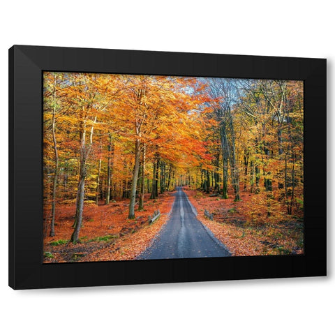 Road into autumn Black Modern Wood Framed Art Print by Lindsten, Christian