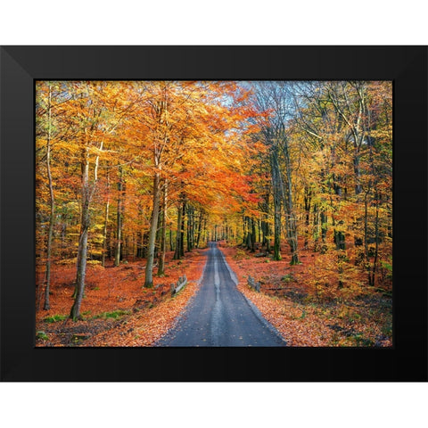 Road into autumn Black Modern Wood Framed Art Print by Lindsten, Christian