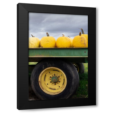 Driving Pumpkins Black Modern Wood Framed Art Print with Double Matting by Lou, Linda