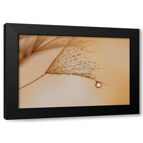 Jadore Black Modern Wood Framed Art Print with Double Matting by Bonazza, Lara