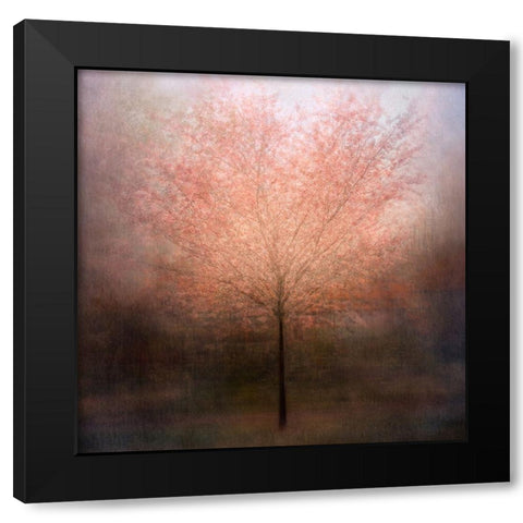 Dream Come True Black Modern Wood Framed Art Print with Double Matting by Holmstrom, Katarina
