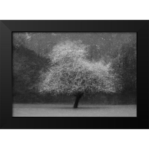 Tree Magic Black Modern Wood Framed Art Print by Holmstrom, Katarina