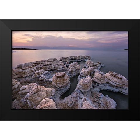 Salted Mushrooms Black Modern Wood Framed Art Print by Artzi, Bar