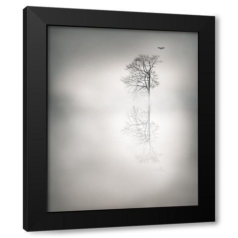 Mystic Flight Black Modern Wood Framed Art Print by Gauvreau, Yves