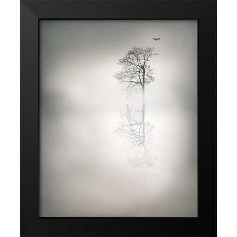 Mystic Flight Black Modern Wood Framed Art Print by Gauvreau, Yves