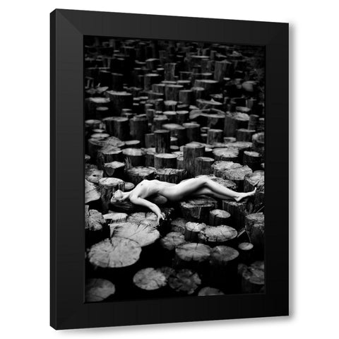 Forest Black Modern Wood Framed Art Print by Markachev, Leonid