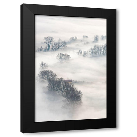 Trees In The Fog Black Modern Wood Framed Art Print by Galimberti, Marco