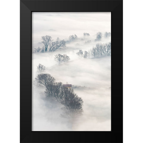 Trees In The Fog Black Modern Wood Framed Art Print by Galimberti, Marco
