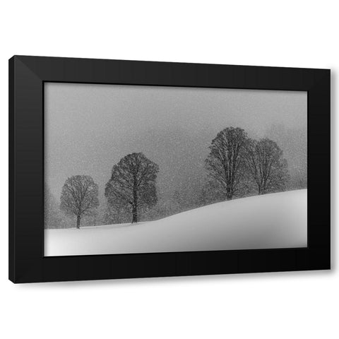 Snow White Black Modern Wood Framed Art Print with Double Matting by Dauer, Andy