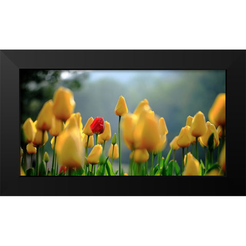 Untitled Black Modern Wood Framed Art Print by Hall, Harry