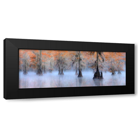 Caddo Lake Black Modern Wood Framed Art Print with Double Matting by Zhu, Hua