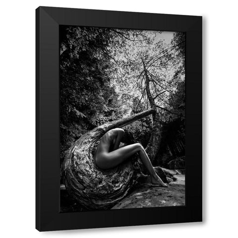Wild Black Modern Wood Framed Art Print with Double Matting by Mannini, Roberto
