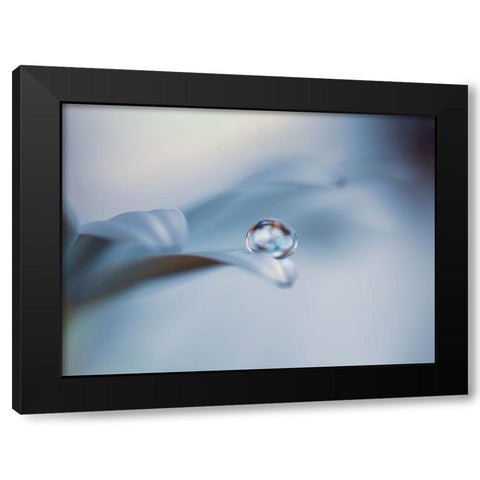 Non mi lasciare Black Modern Wood Framed Art Print with Double Matting by Bonazza, Lara