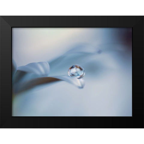 Non mi lasciare Black Modern Wood Framed Art Print by Bonazza, Lara