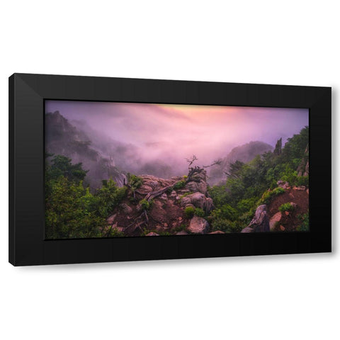 New Life Black Modern Wood Framed Art Print by Seo, Tiger