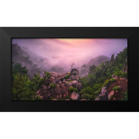 New Life Black Modern Wood Framed Art Print by Seo, Tiger