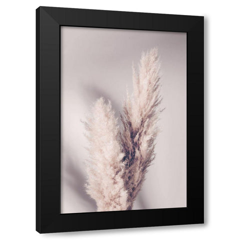 Pampas Grass Black Modern Wood Framed Art Print by 1x Studio III