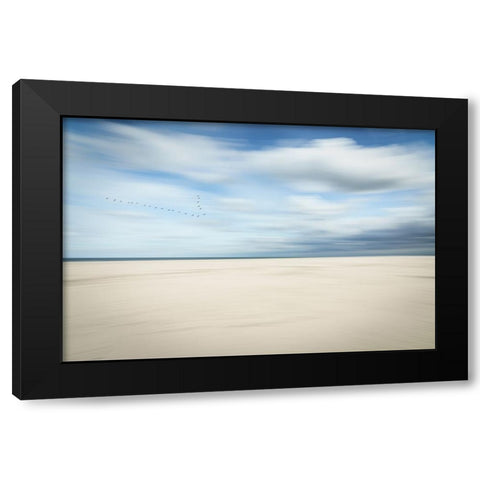 Birds At The Seaside Black Modern Wood Framed Art Print by Reichelt, Dieter