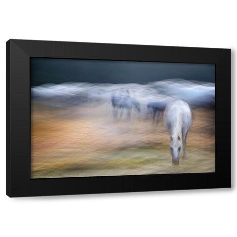 On the pasture Black Modern Wood Framed Art Print by Malovrh, Milan