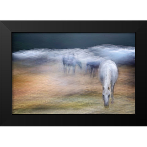 On the pasture Black Modern Wood Framed Art Print by Malovrh, Milan