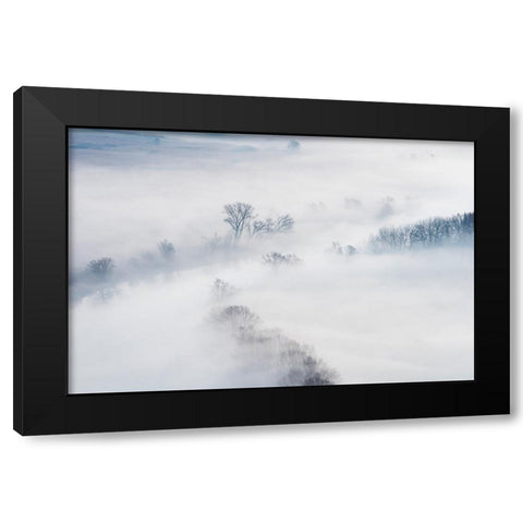 Winter Black Modern Wood Framed Art Print by Galimberti, Marco