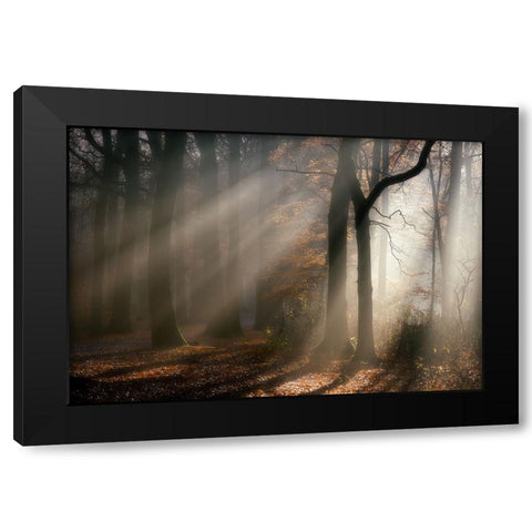 Morning-walk Black Modern Wood Framed Art Print with Double Matting by Lathouwers, Liliane