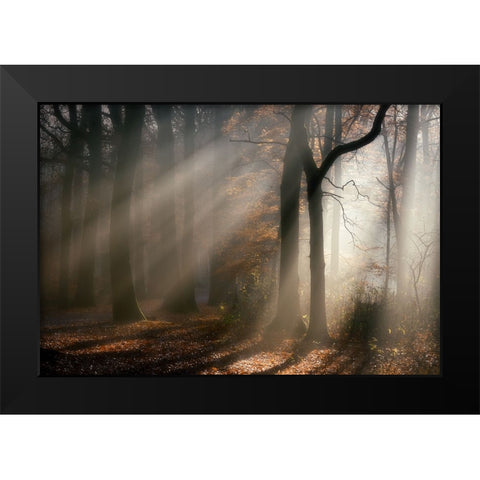 Morning-walk Black Modern Wood Framed Art Print by Lathouwers, Liliane