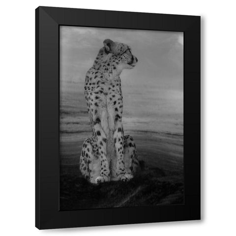 Cheetah on the Watch Black Modern Wood Framed Art Print with Double Matting by Wisniowska, Krystina