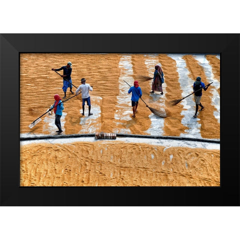 Paddy Drying13 Black Modern Wood Framed Art Print by Nandi, Shaibal