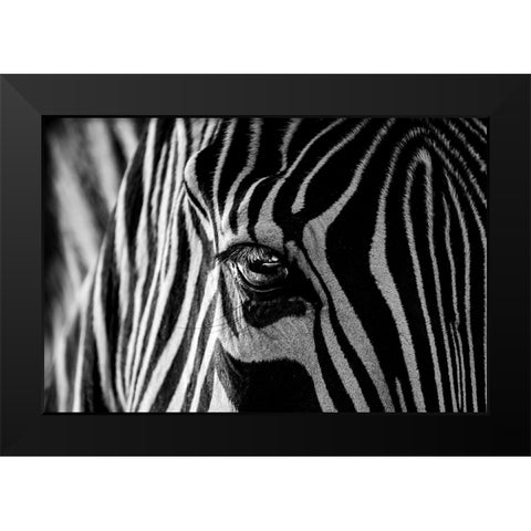 Abstract Zebra Black Modern Wood Framed Art Print by Darnell, Roy