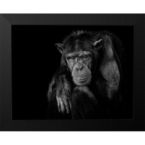 Youth dont last forever. Black Modern Wood Framed Art Print by Baez Photography, Nauzet