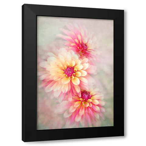 Trio Black Modern Wood Framed Art Print by Parker, Jacky