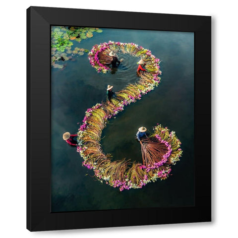 Harvesting water lilies v15 Black Modern Wood Framed Art Print by Tan Tuan, Nguyen