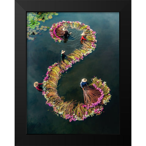 Harvesting water lilies v15 Black Modern Wood Framed Art Print by Tan Tuan, Nguyen