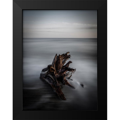 Naufrago Black Modern Wood Framed Art Print by Lintaman, Adachi